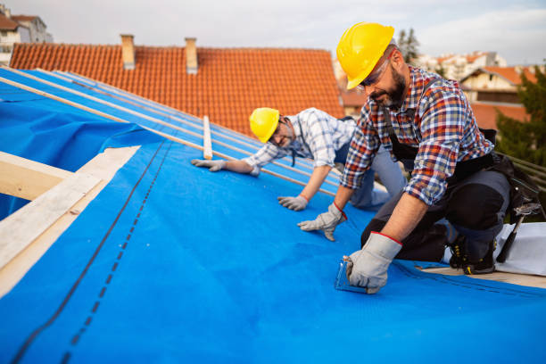 Gutter Installation and Roofing in East Moline, IL